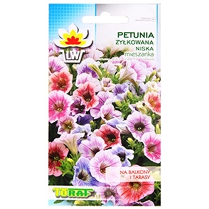 Attēls no Sēklas Petūnijas daudzziedu zemās 0.1g