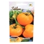 Attēls no Sēklas Tomāti B oranžo