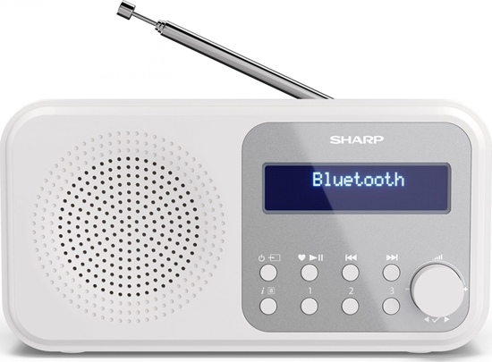 Picture of Sharp DR-P420 Portable Digital White