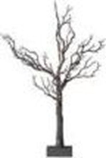 Picture of Philips Drzewo LED Sirius Tree Tora Tree 40 LED bateria 60cm brzowe
