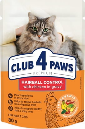 Изображение Synteza CLUB4 KOT sasz.80g HAIRBALL CONTROL /24