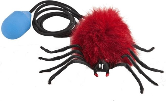 Picture of Skaczcy pajk (5905094771094)