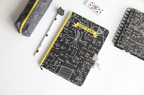 Picture of Slepenā dienasgrāmata MATH