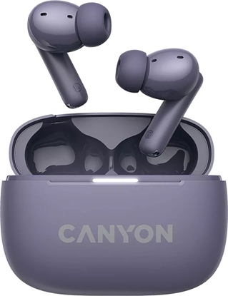 Picture of CANYON CNS-TWS10PL