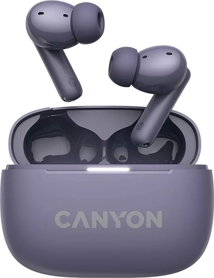 Picture of CANYON CNS-TWS10PL