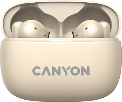 Picture of CANYON CNS-TWS10BG