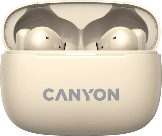 Picture of CANYON CNS-TWS10BG
