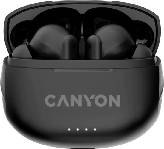 Picture of CANYON CNS-TWS8B