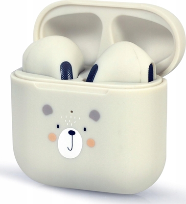 Picture of Suchawki Gembird Valletta biae