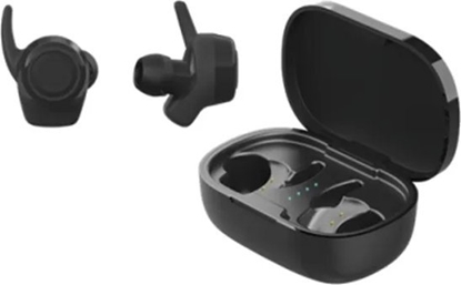 Picture of Suchawki Streetz Ausines STREETZ TWS-112, belaides, i aus