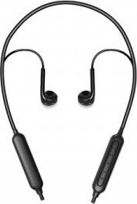 Picture of Suchawki XO BS16