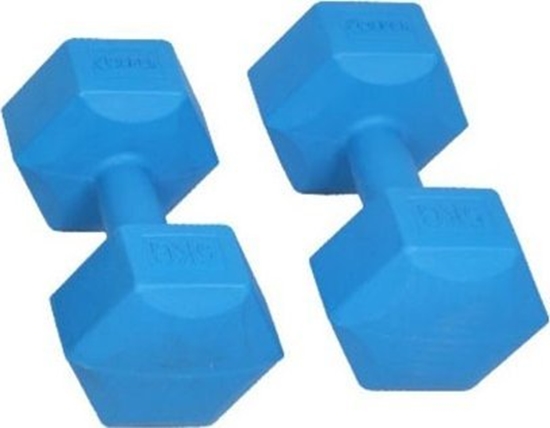 Picture of Spartan ‎‎Hantle 1855 bitumiczne 2 x 1 kg