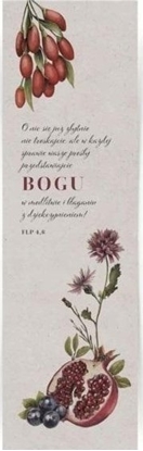 Picture of Szaron Zakadka dua - O nic si zbytnio