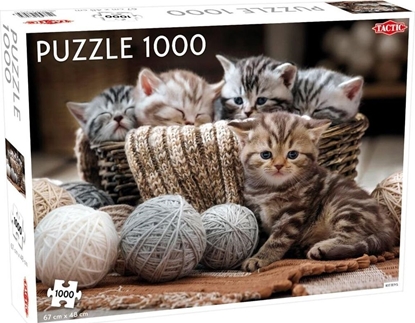 Picture of Tactic Puzzle 1000 Mae kotki