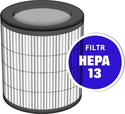 Изображение TCL TCL Filtr do oczyszczacza powietrza KJ255F H13