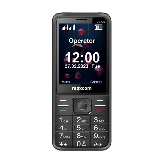 Picture of Telefon MM 245 4G dual sim 