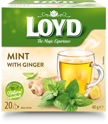 Picture of Tēja LOYD, piparmētru un ingvera garša, 20 x 2g
