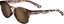 Picture of TIFOSI Okulary TIFOSI SVAGO POLARIZED tortoise (1 szko Brown 15,4% transmisja wiata) (NEW)