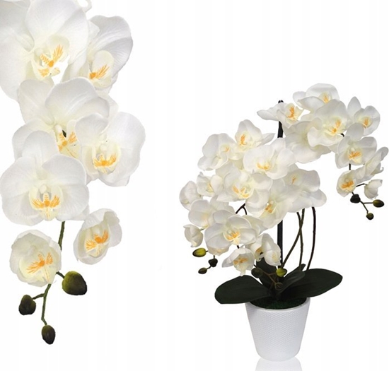 Picture of Toner Zamiennik listwa czyszczÄca bÄben Ricoh IM350/IM430F/P501/P502