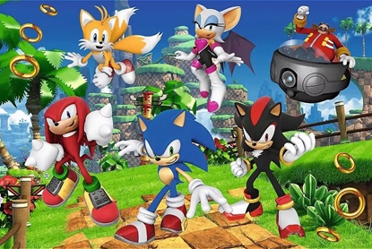 Attēls no Trefl PUZZLE 160EL TREFL SONIC I PRZYJACIELE PUD