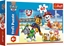 Picture of Trefl Puzzle 60 elementów W wiecie piesków Psi Patrol (Paw Patrol)