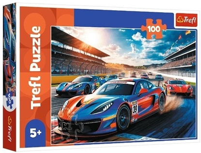 Изображение Trefl Puzzle Szybka wycigówka 100 elementów (17403)