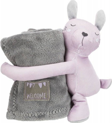 Picture of Trixie Mata do leenia Aiko 80 × 60 cm szaro/jasnoszara