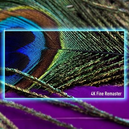 Attēls no TV Set|PANASONIC|55"|4K/Smart|3840x2160|Wireless LAN|Bluetooth|Google TV|TV-55W90AEG