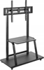 Picture of Tv Stiprinājums Gembird TV Floor Stand with Caster Wheels