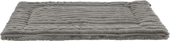 Picture of TX-374007 LONNIE MATA PLUSZOWA DLA PSA    / KOTA SZARA 90x65cm