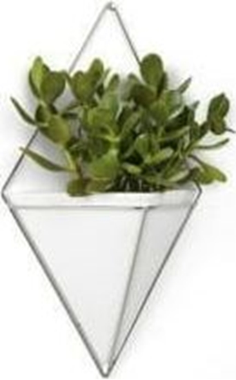 Picture of Umbra Pojemnik/doniczka L Trigg biay/nikiel