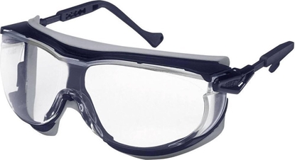 Изображение uvex skyguard NT spectacles blue/grey