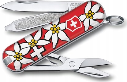 Изображение Victorinox Victorinox Stella Alpina