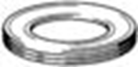 Picture of Viega Uszczelka wargowa 72mm (112103)