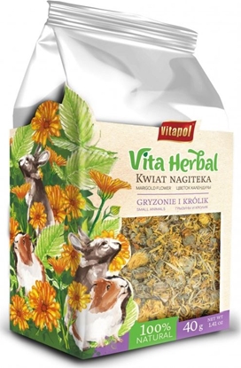 Attēls no Vitapol Vita Herbal dla gryzoni i królika, kwiat nagietka, 40g