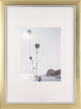 Изображение Walther Beyond DIN A3    29,7x42 Resin  champagne/gold  JI342C