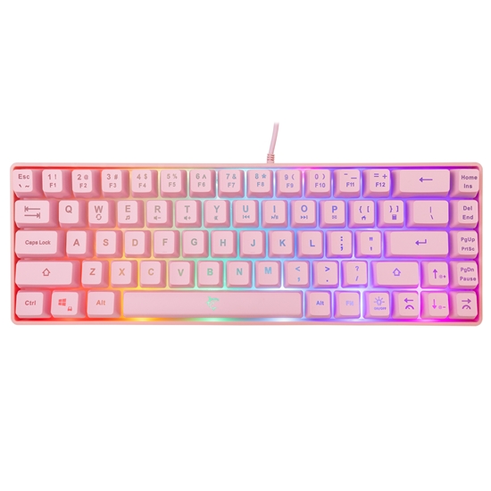 Picture of White Shark GK-2201 RONIN Pink-US