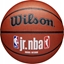Attēls no Wilson Wilson Jr NBA Fam Logo In/Out Ball WZ2009801XB Pomaraczowe 7