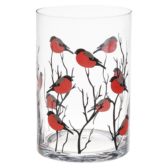 Picture of Winteria Hurricane Sarkankrūtītis 12x18cm