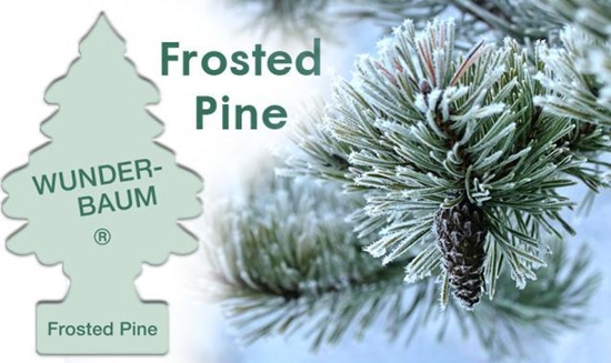 Picture of WUNDER-BAUM Odwieacz wunder baum - frosted pine