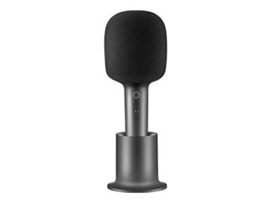 Picture of Xiaomi BHR6752GL Karaoke microphone
