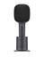 Изображение Xiaomi BHR6752GL Karaoke microphone