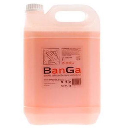 Picture of Ziepes šķ.BanGa rozā ziedu 5l