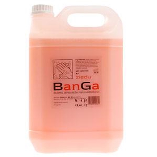 Изображение Ziepes šķ.BanGa rozā ziedu 5l