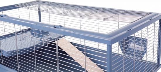 Picture of Zolux Neolife 100 dla kawii domowej niebieska (205662BLE)