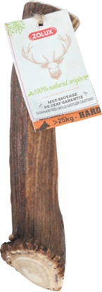 Picture of Zolux ZOLUX Poroe jelenia w caoci HARD XXL