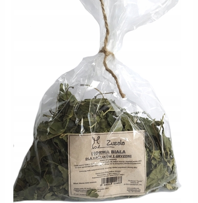 Attēls no ZUZALA  MORWA BIAA