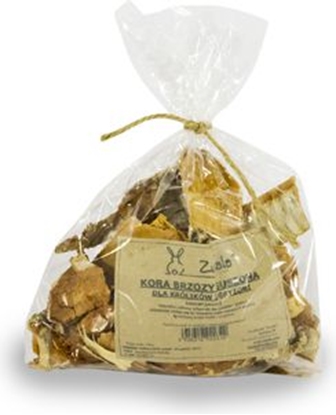 Attēls no Zuzala KORA BRZOZY