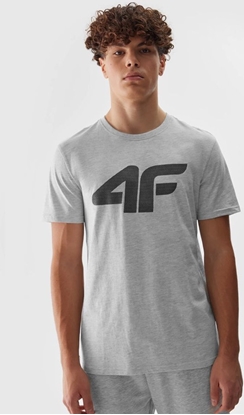 Picture of 4f T-shirt 4F 4FWSS24TTSHM1155 27M