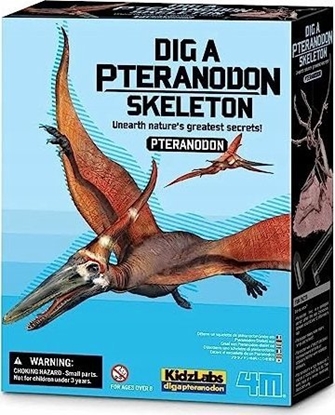Attēls no 4M 4M craft kit "Dig a Pteranodon skeleton"